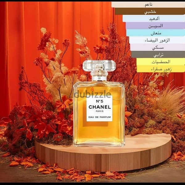 nice perfumes fragrance 1