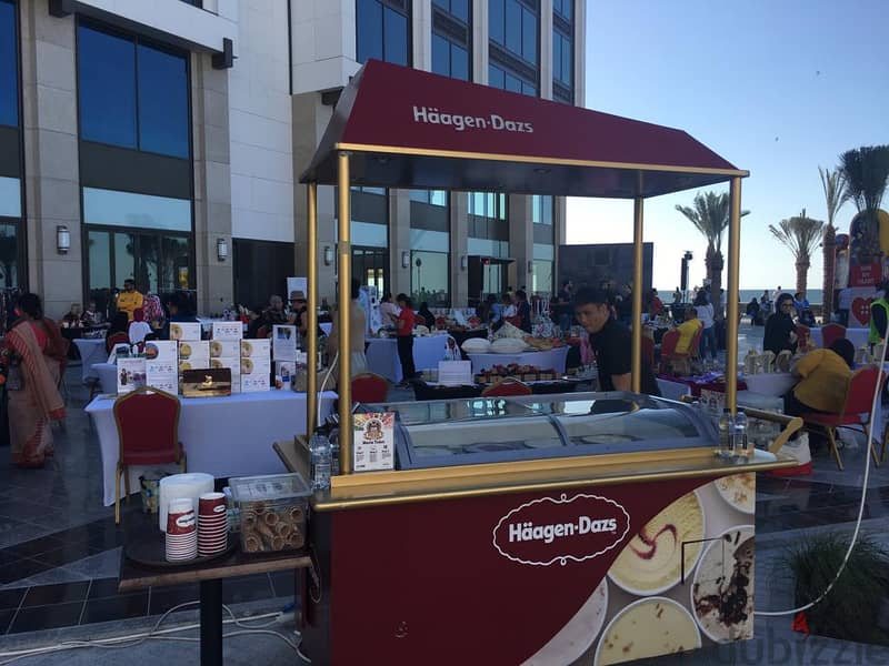 Haagen Daz Freezers 2