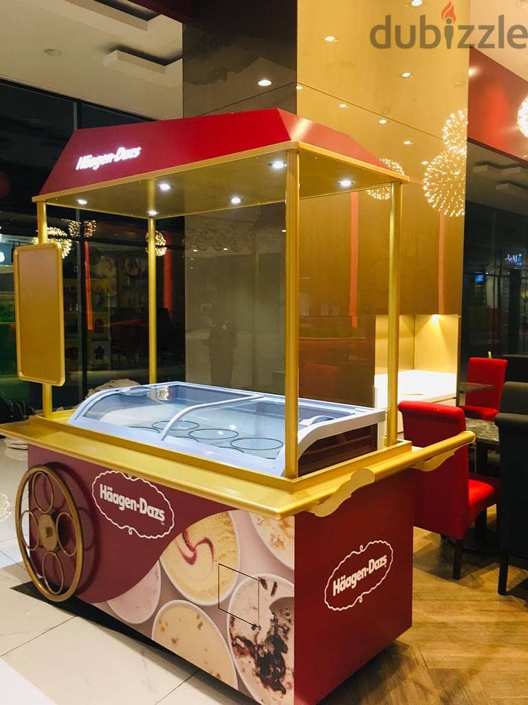 Haagen Daz Freezers 3