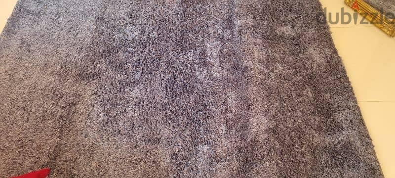 Carpet / Rug from home center 2