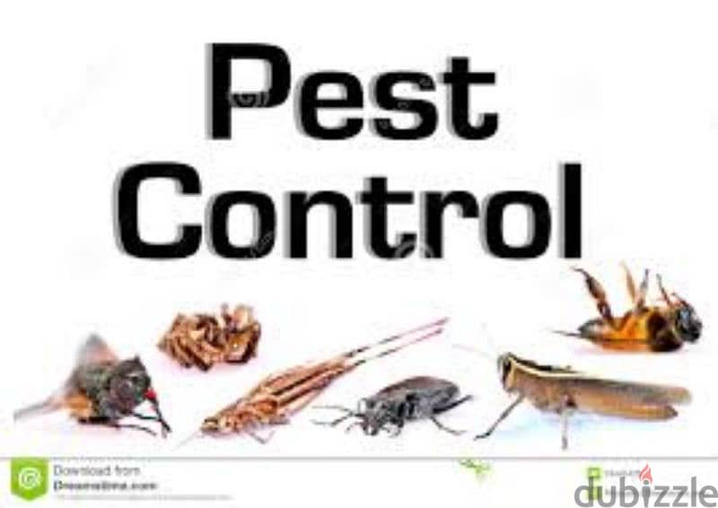 pest control 0