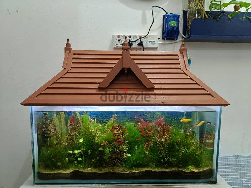 fishes and aquarium with wooden roof 5