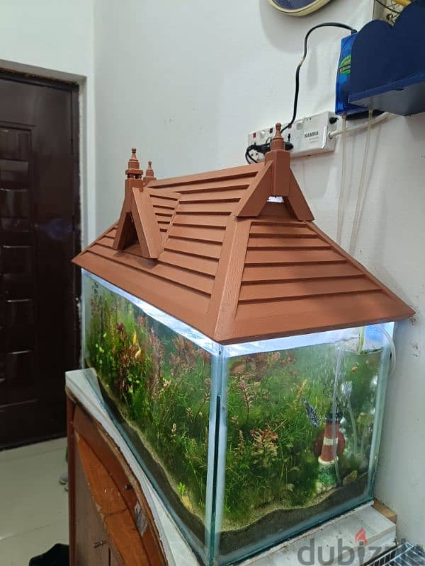 fishes and aquarium with wooden roof 9