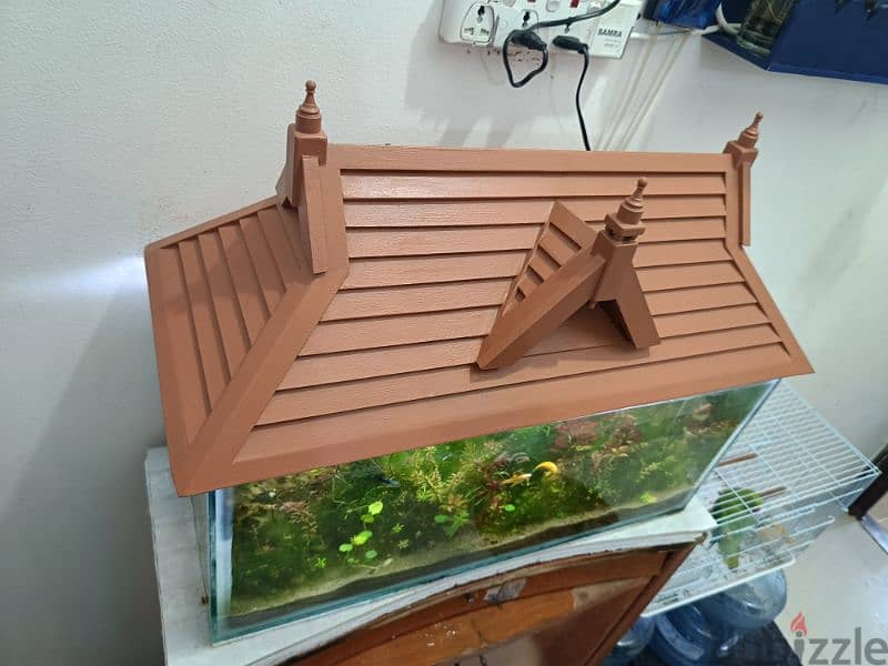 fishes and aquarium with wooden roof 14