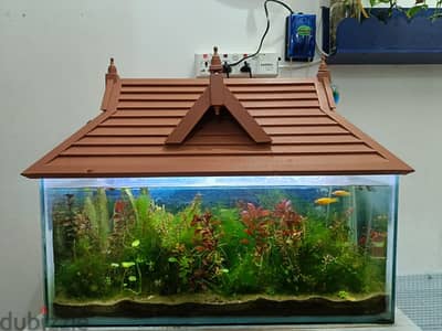 fish aquarium with wooden roof