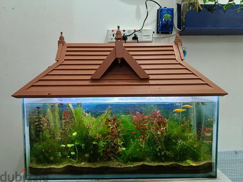 fish aquarium with wooden roof 0