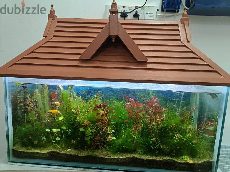 fish aquarium with wooden roof 5