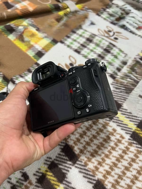 sony a7iii with 24-70 sigma lens 3