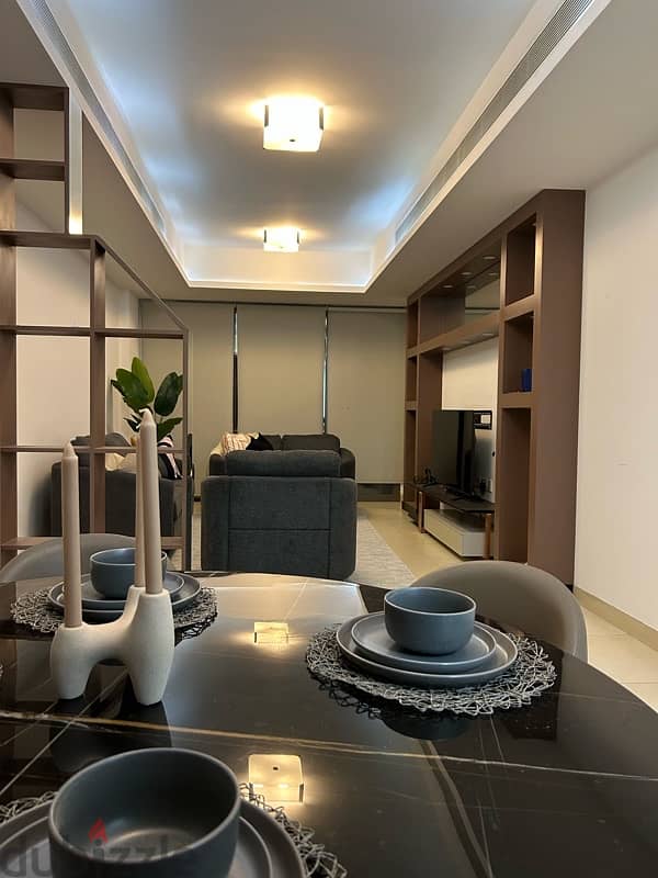 apartment for a daily rent (25 OMR ) 1