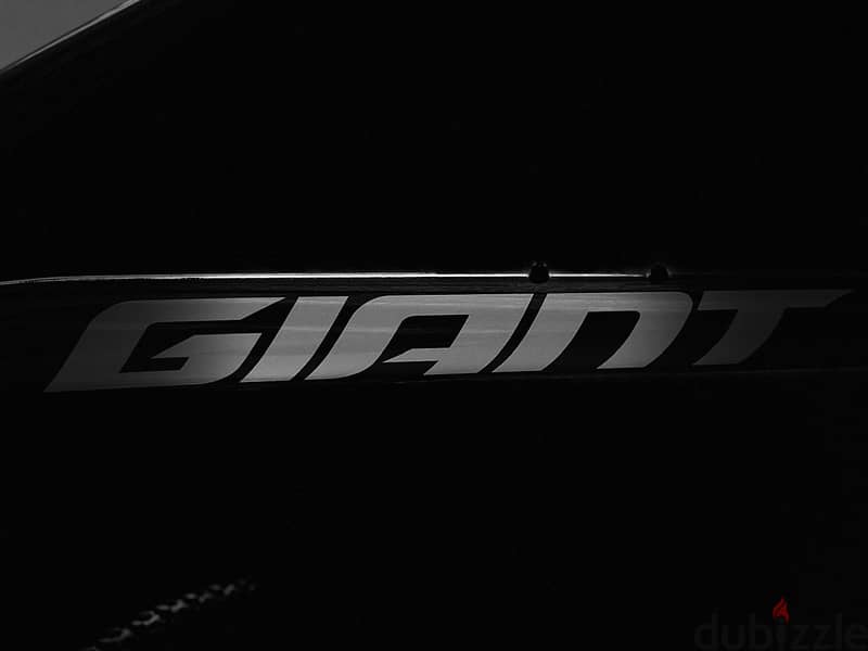 Giant MTB Talon Good Specification Shimano New Altus 10/9*2Speed Hydra 3