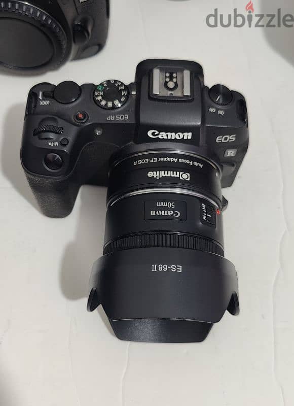 Canon R, 5D mark IV, EOS RP & othere check my description 4