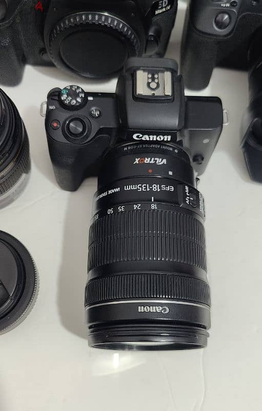 Canon R, 5D mark IV, EOS RP & othere check my description 10