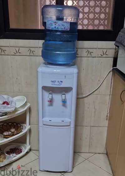 Electric water dispenser