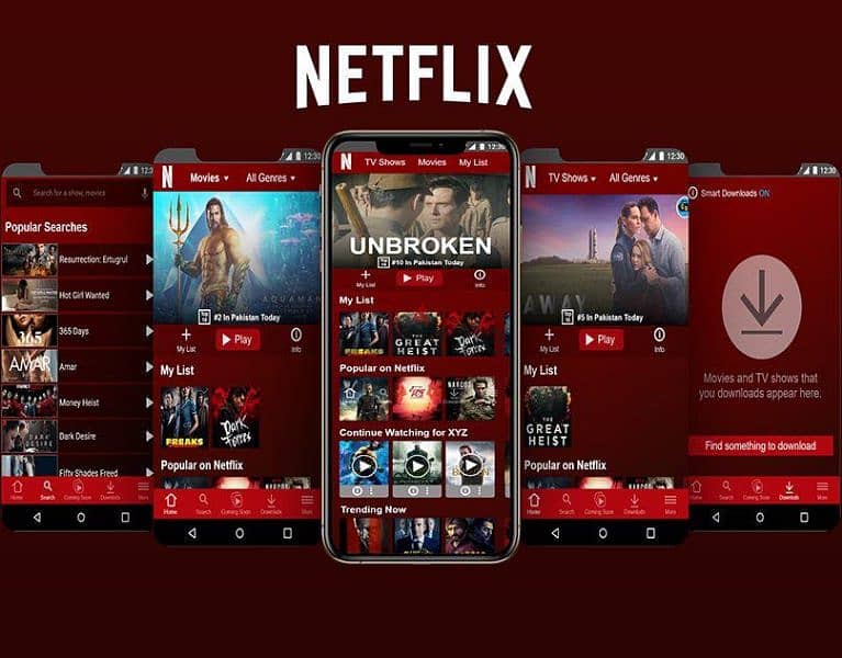 NETFLIX PREMIUM  ACCOUNT 4K FOR PHONE LAPTOP TV IPADS. 1