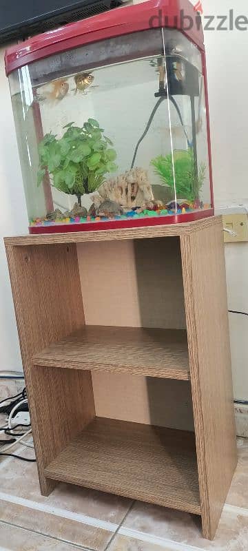 Aquarium set with 3 Gold fishes