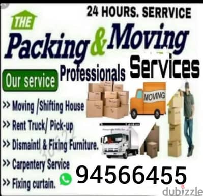 professional movers and packers house villa office store shifting