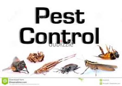 Quality pest control services