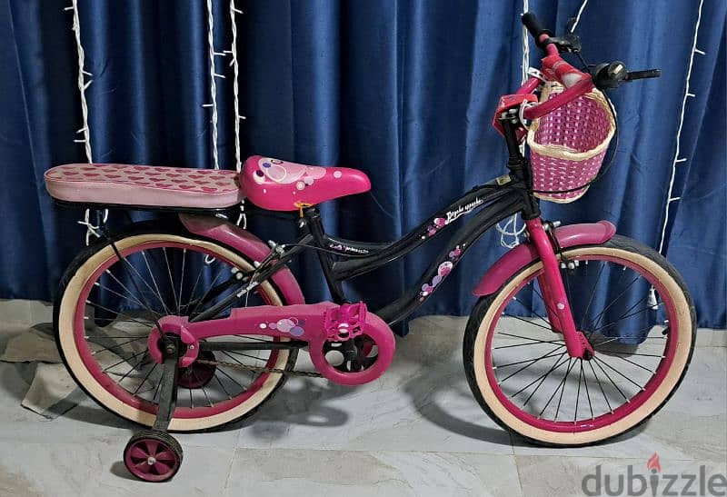 kid's bicycle 1