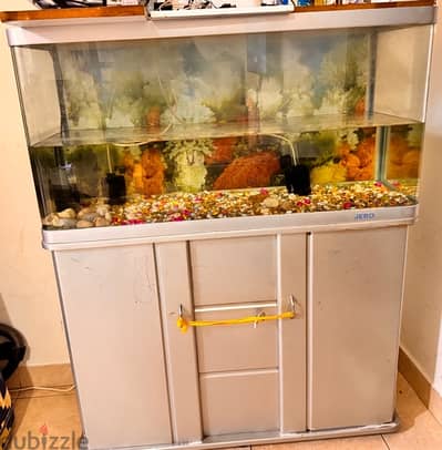 Large aquarium