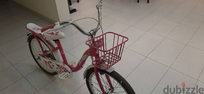 Girl's bicycle 2