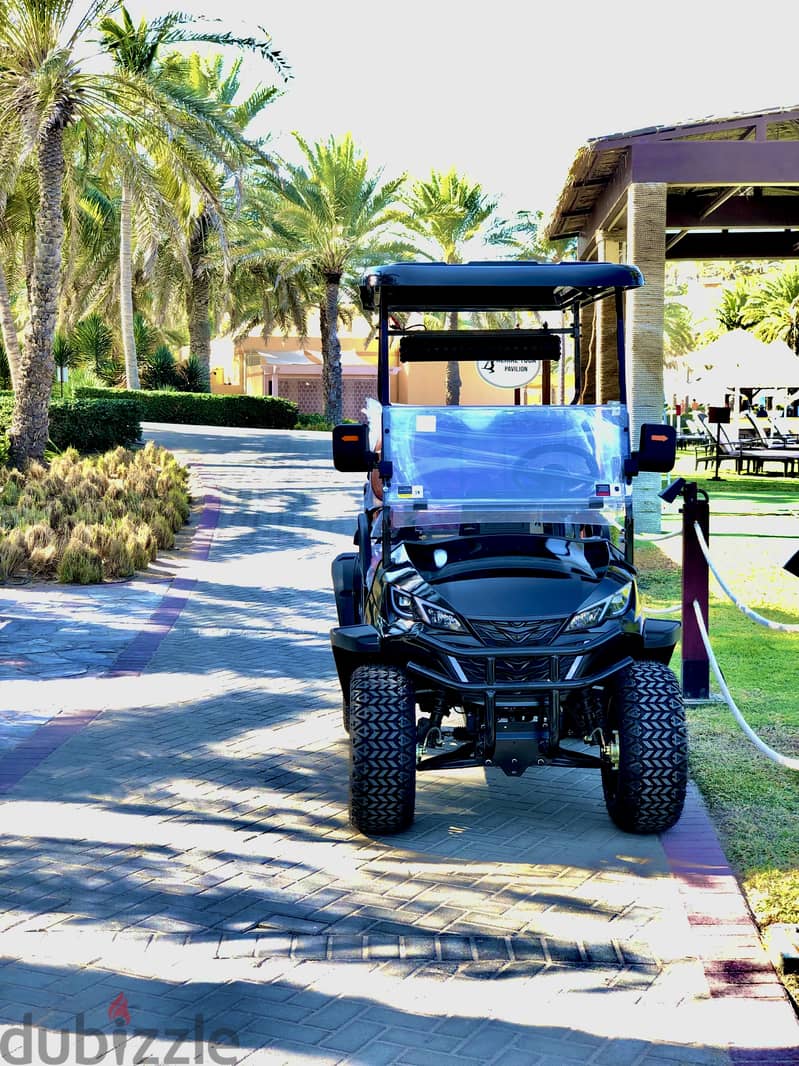 New Golf Carts Buggy 2025 2