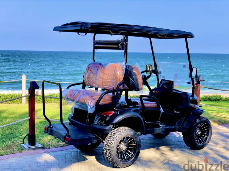 New Golf Carts Buggy 2025 4