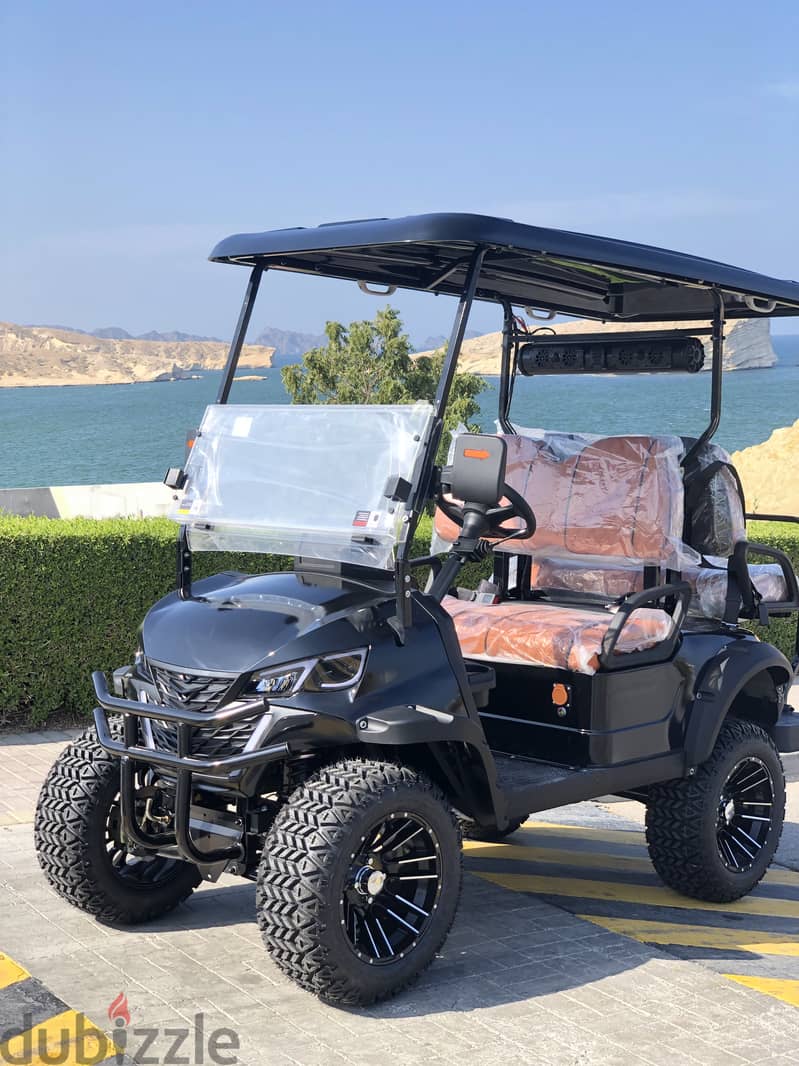 New Golf Carts Buggy 2025 6