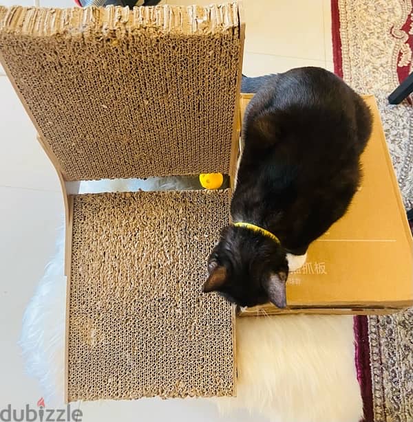 Wooden Windmill Cat Scratch Pad 1