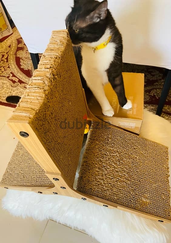 Wooden Windmill Cat Scratch Pad 2