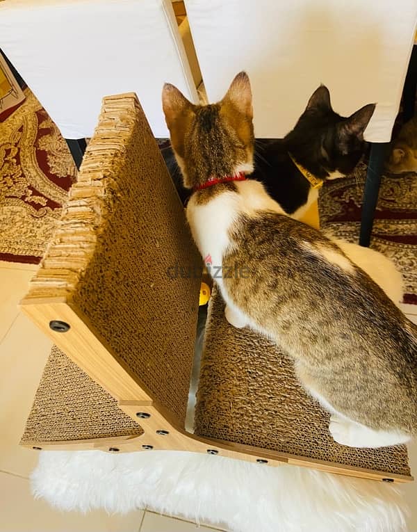 Wooden Windmill Cat Scratch Pad 3