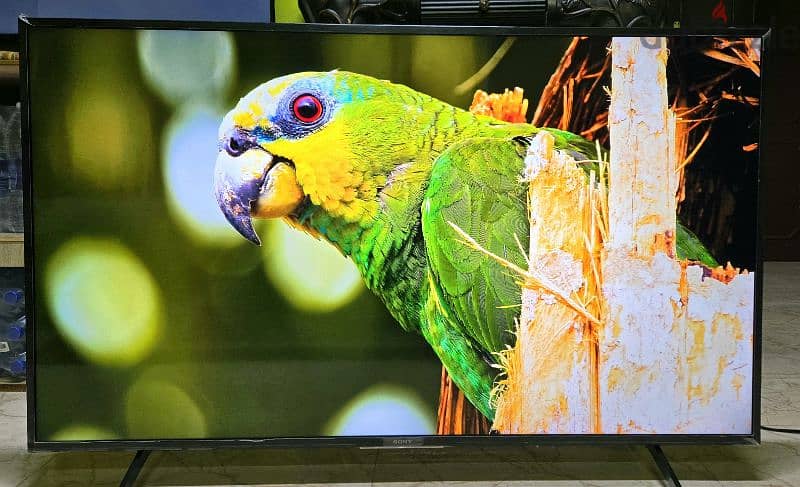 Sony BRAVIA 55 Inch Android TV 5