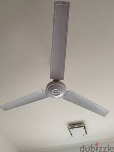 ceiling fan