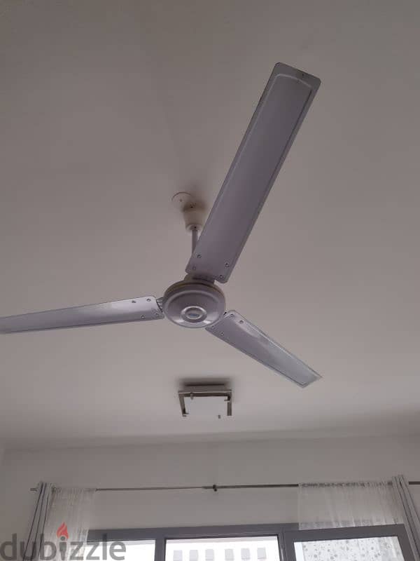 ceiling fan 2