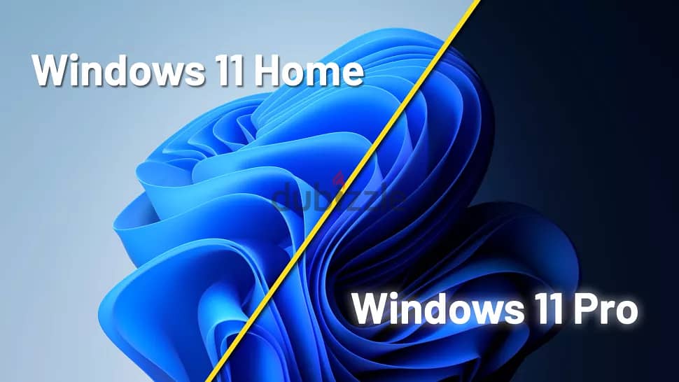 Window 11 Pro Original Lisence 2