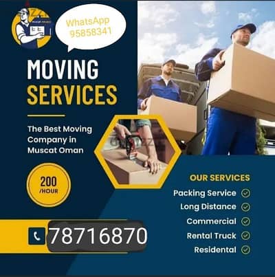 professional movers  L. L. C