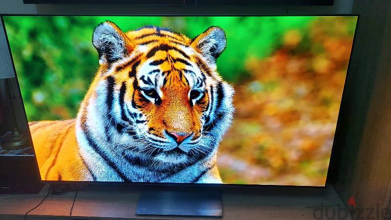 Samsung 55" OLED 2022 model:S95B 5