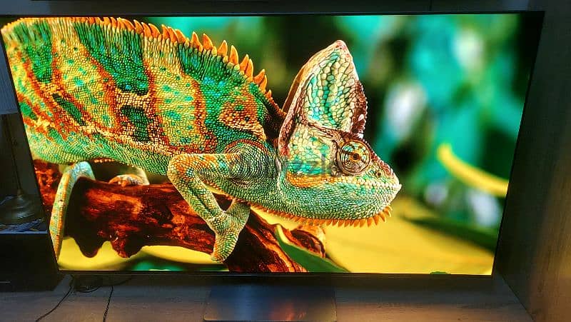 Samsung 55" OLED 2022 model:S95B 6