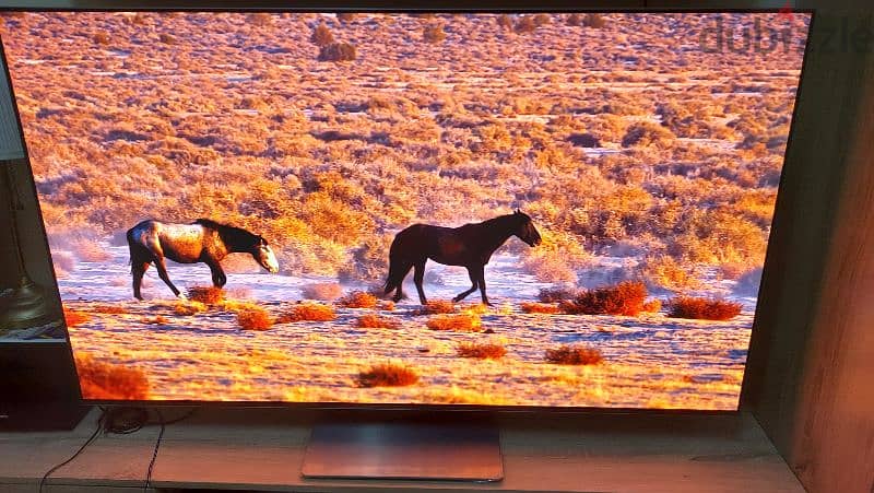 Samsung 55" OLED 2022 model:S95B 7