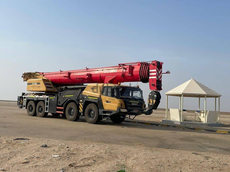 Crane for rent 25 ton to 250ton daily basis and monthly available 4