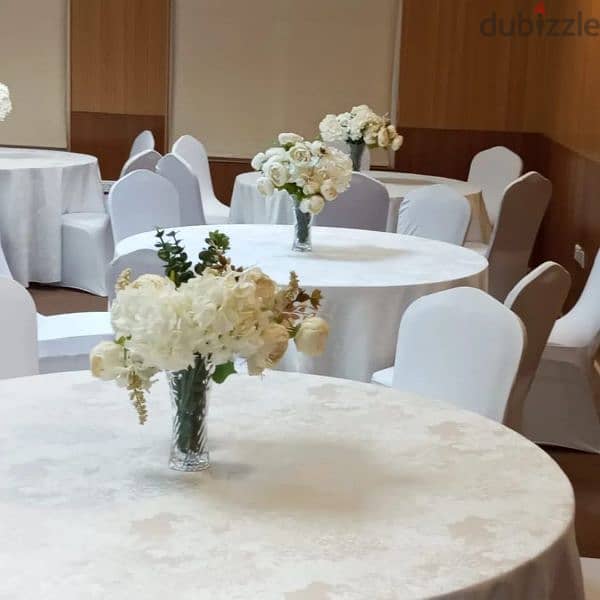 white Tiffany chairs for rent 5