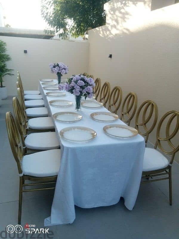 white Tiffany chairs for rent 6