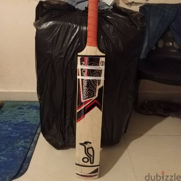 Cricket bat for sale 2