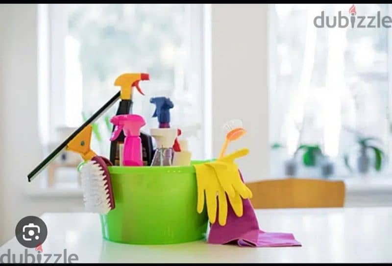 home cleaner villa apartment house dep cleaning building 4