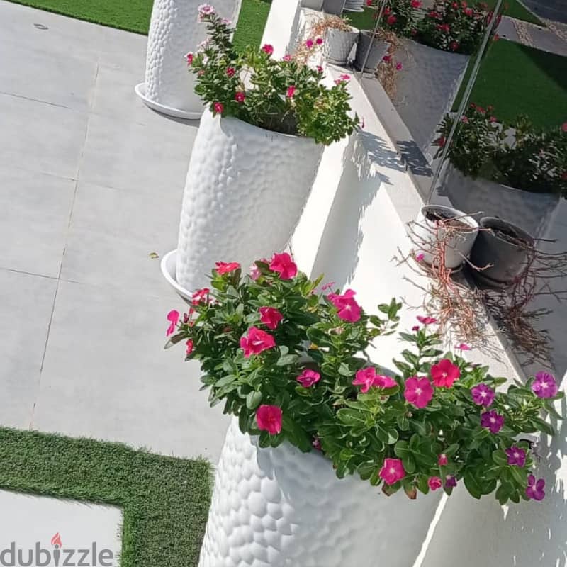 خدمات تصميم وتنسيق وصيانة الحدائق باحترافية Professional garden design 3