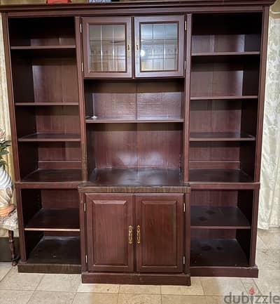 FOR SALE:  Showcase Wall Unit - Good Condition