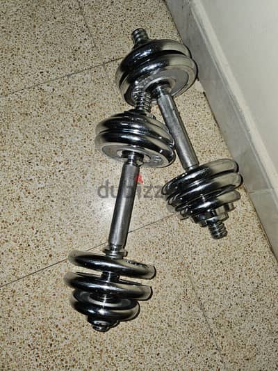 Dumbell set