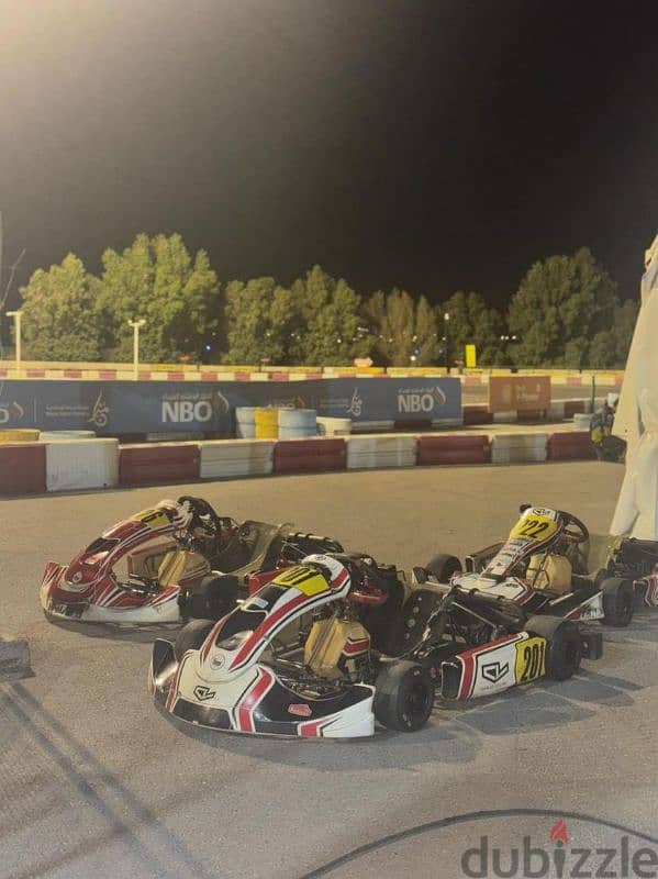 Birel Art Junior Max 1