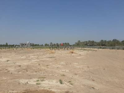 we are looking for a aggricultural land in nizwa. need borewell water