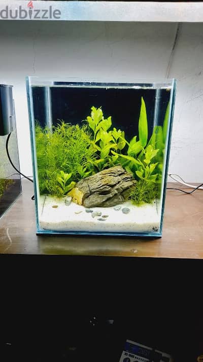 Selling a new planted aquarium