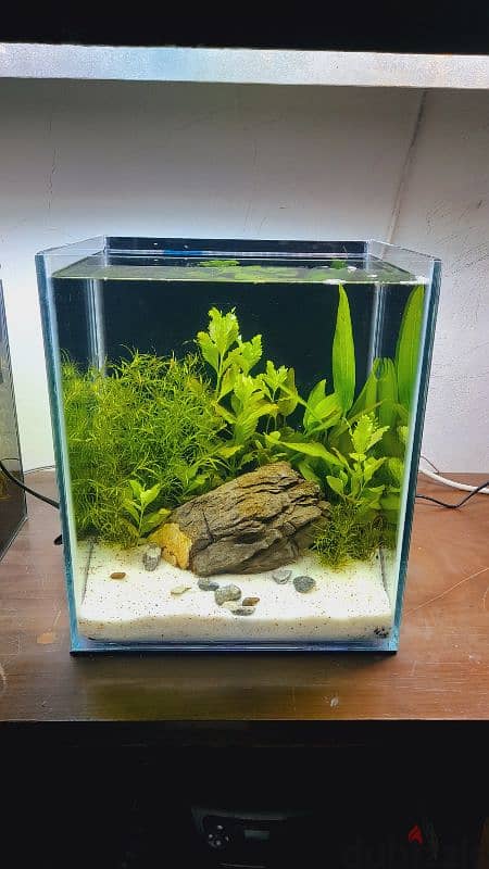 Selling a new planted aquarium 3